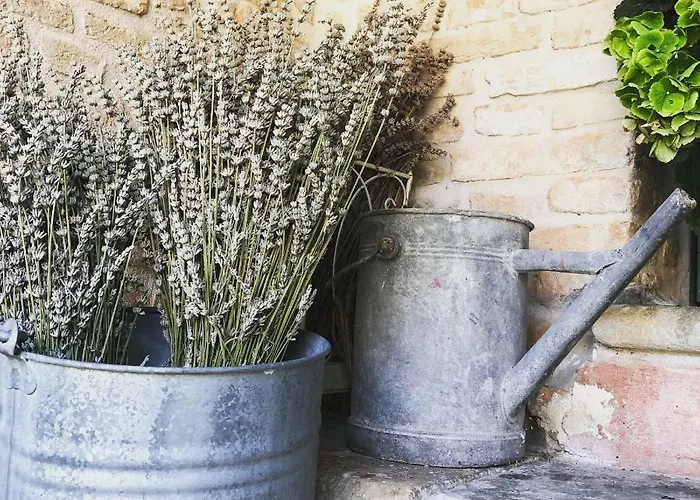 Casa Vallona Monte San Pietro